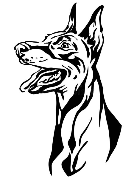 Трафарет добермана