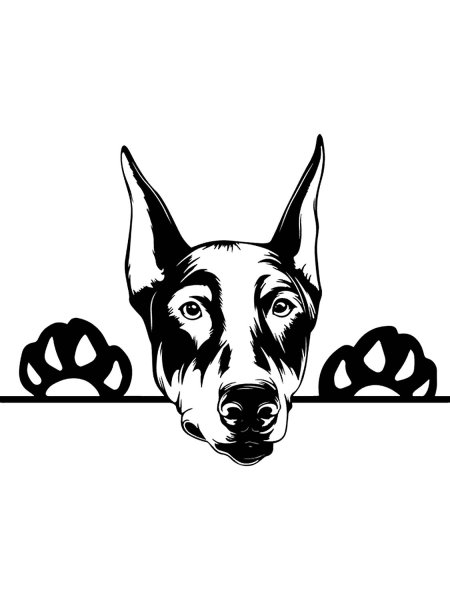 Цвергпинчер вектор