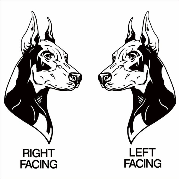 Два добермана эскиз тату