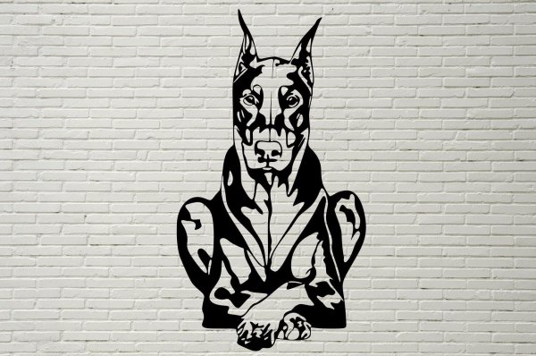 Доберман Графика