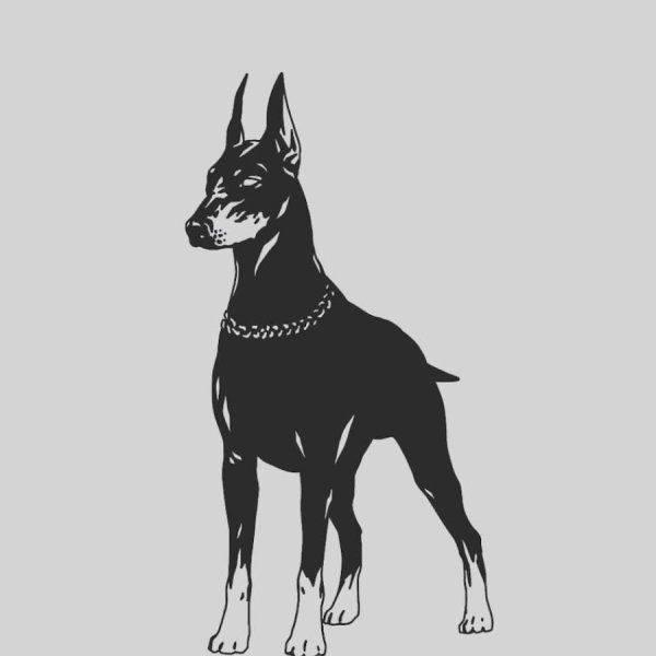 Тату Доберман