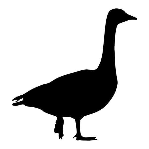 Зарисовка гуся