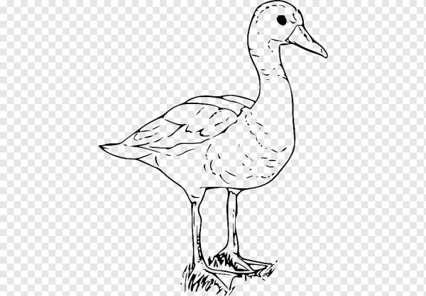 Гусь раскраска для детей