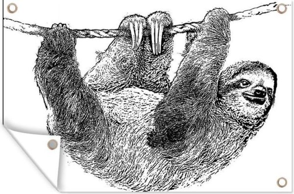 Ленивец черно белый