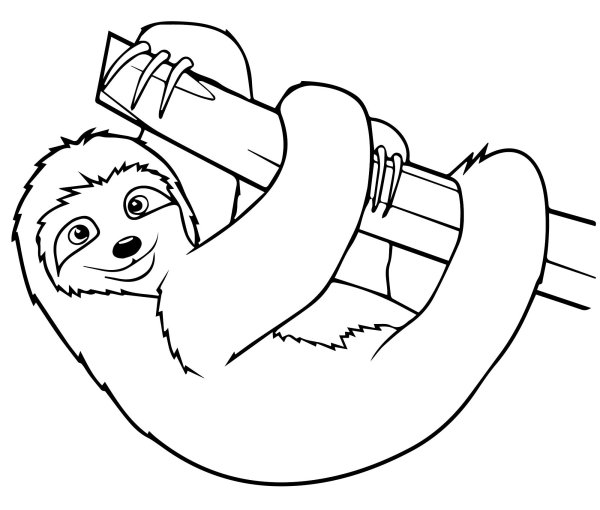 Ленивец раскраска