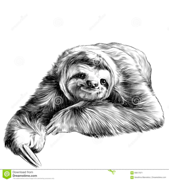 Ленивец карандашом