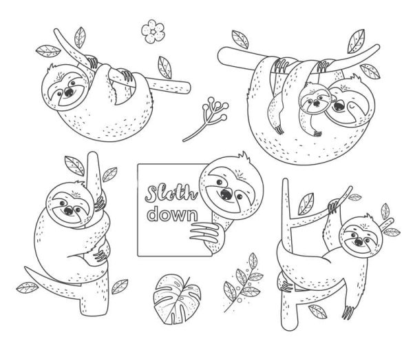 Тока бока Ленивец раскраска