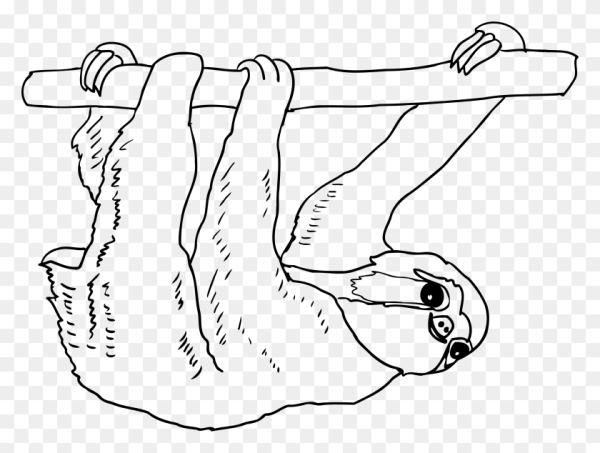 Ленивец тату эскиз