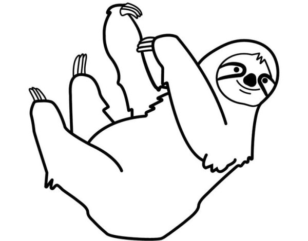 Ленивец раскраска