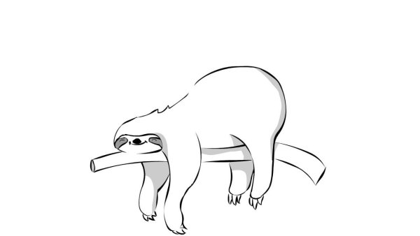 Ленивец раскраска