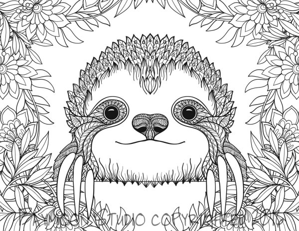 Ленивец раскраска