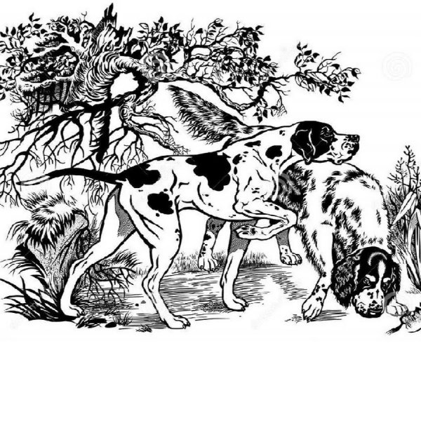 Черно белая Графика охота