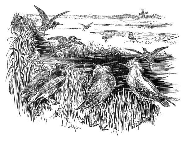 Охота иллюстрации