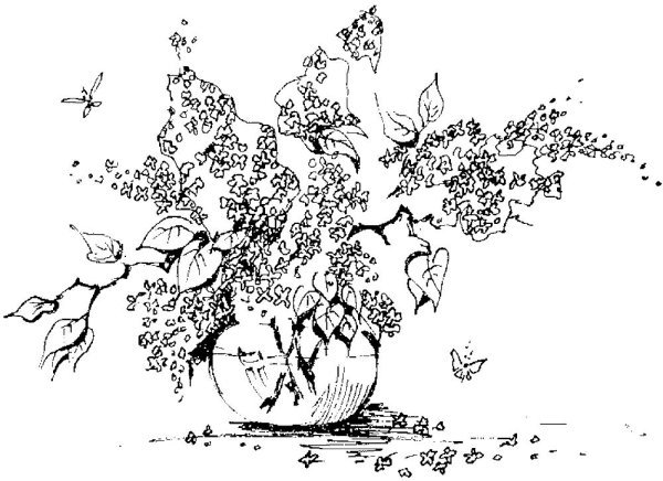 Сирень раскраска