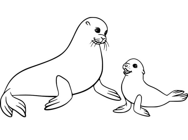 Морские львы