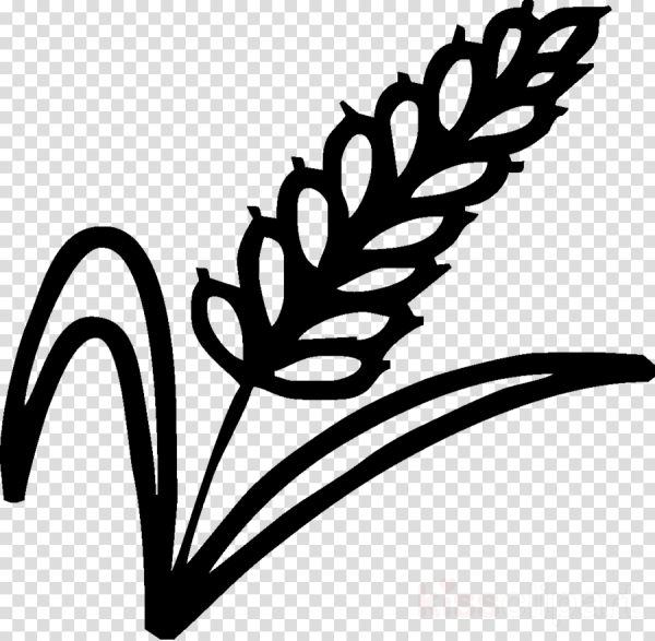 Орнамент пшеница