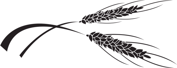 Колосок черно белый