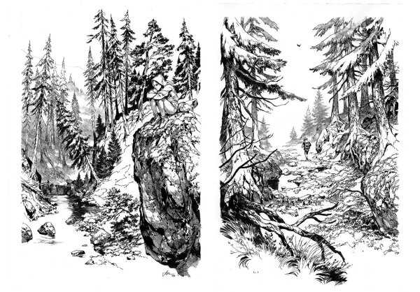 Тайга рисунок