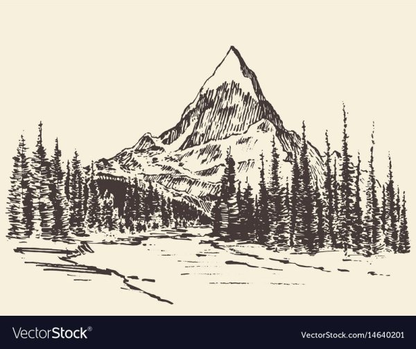 Векторный рисунок лес горы