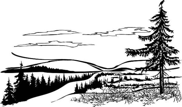 Природа севера вектор