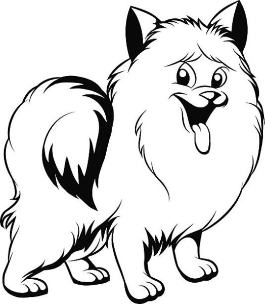 Шпиц вектор черно белый