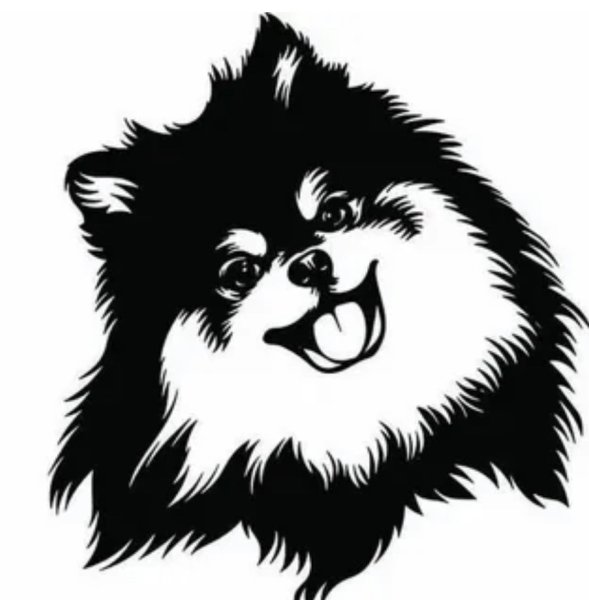 Шпиц вектор