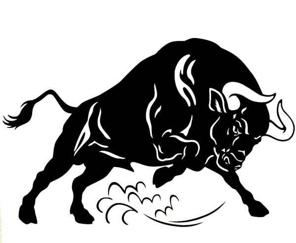 Бык черно белый