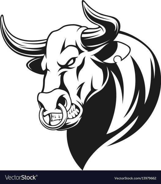 Голова быка рисунок