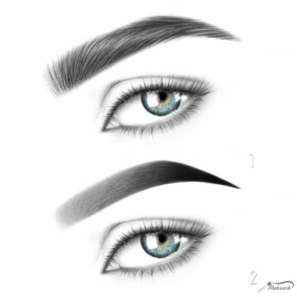 Эскиз бровей