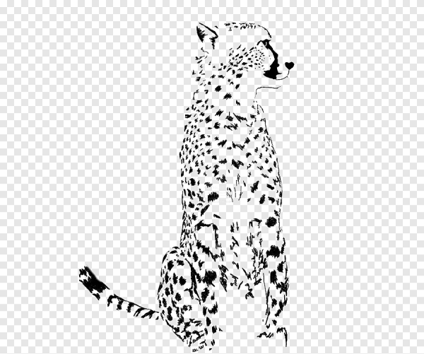 Гепард рисунок