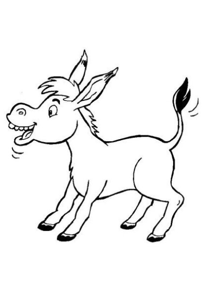 Осел шаблон