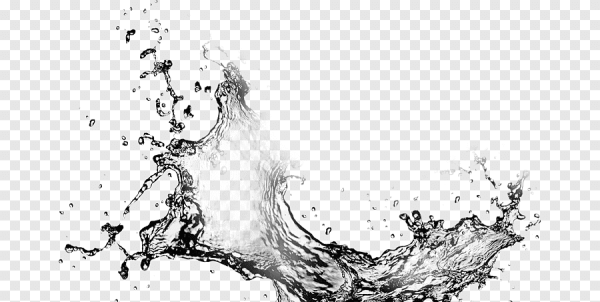 Брызги воды вектор