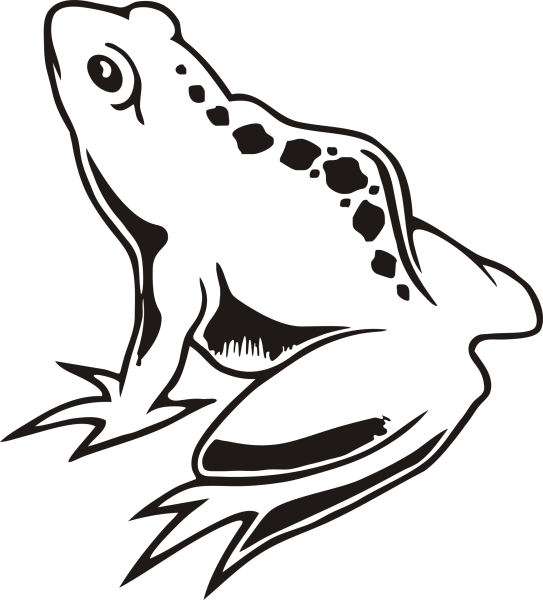 Очертание лягушки