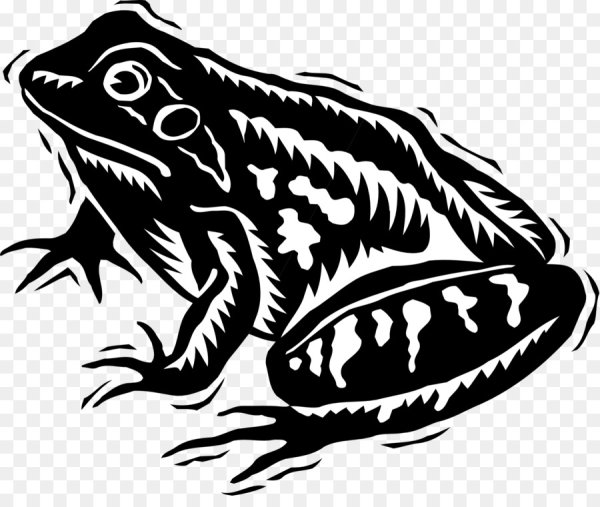 Очертание лягушки