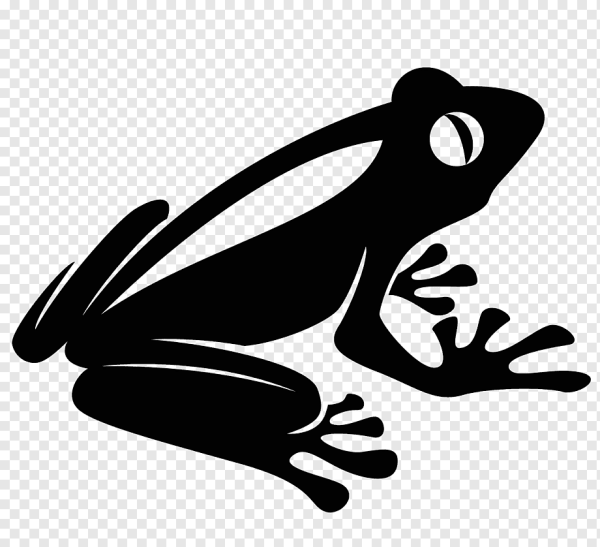 Лягушка раскраска для детей