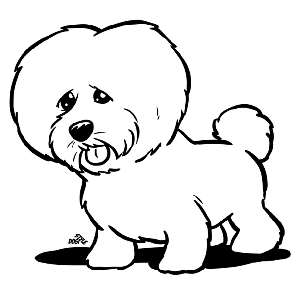 Бишон фризе контур