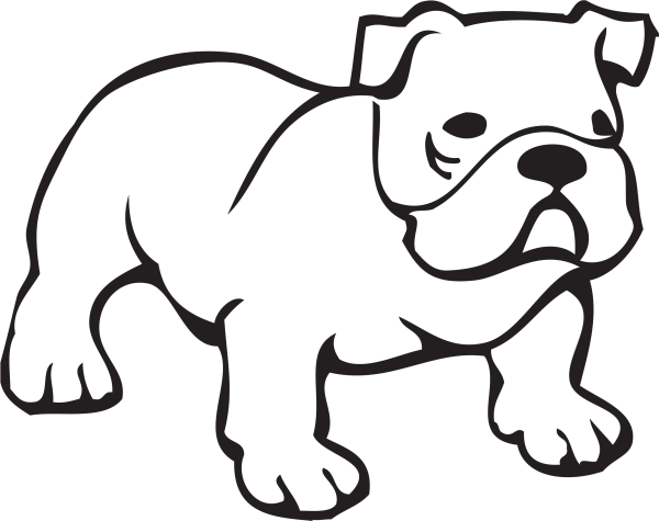 Раскраски. Животные