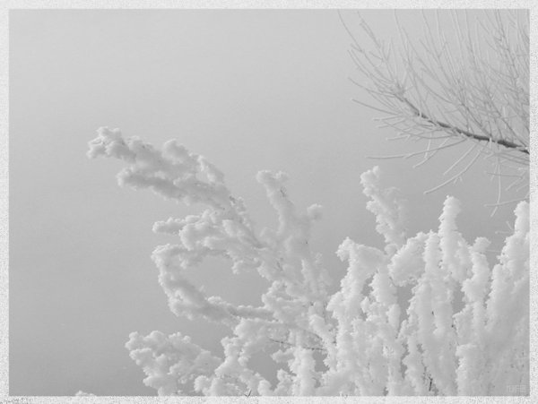 Первый иней