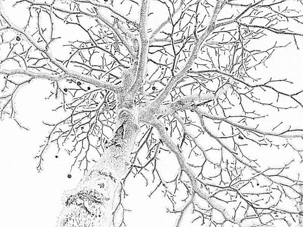 Иней раскраска для детей