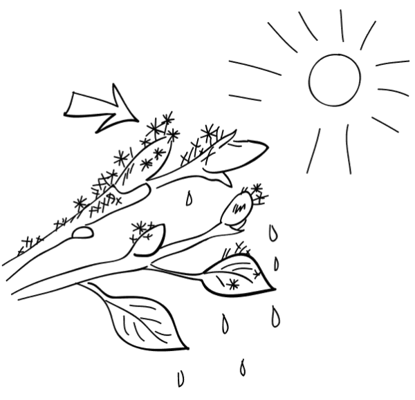 Раскраска Весенняя природа