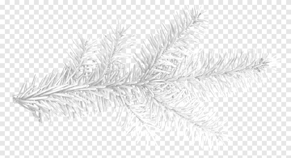 Елочная ветка