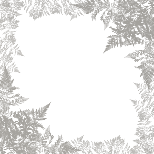 Зимняя рамка