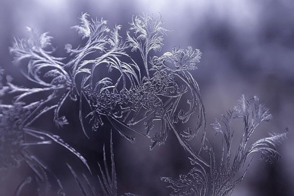 4 Февраля Тимофеев день Тимофей полузимник