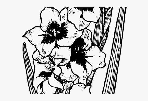 Трафарет гладиолуса