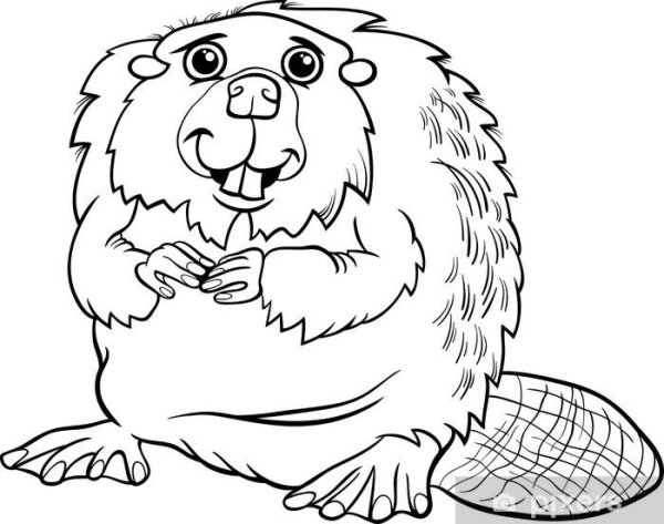 Черно белый бобер мультяшный