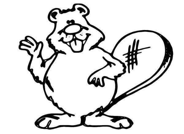 Бобер раскраска