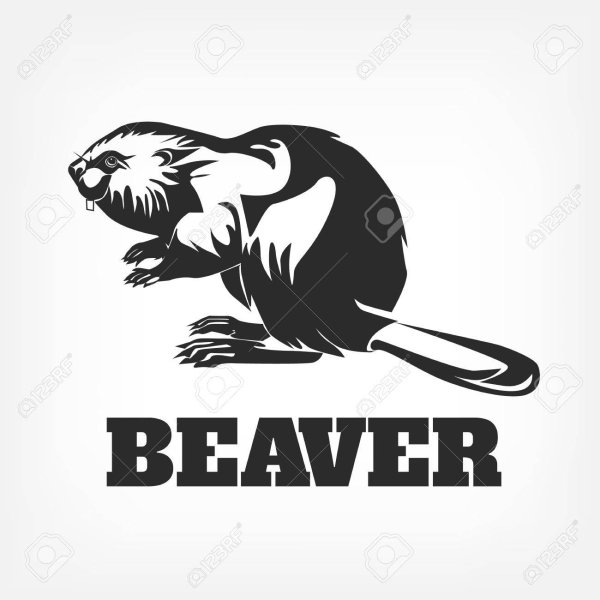 Векторное изображение бобра