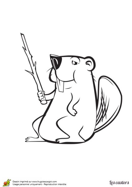 Бобр набросок