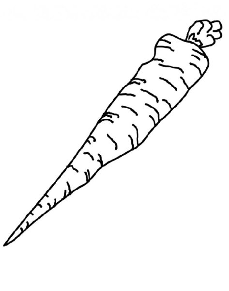 Морковь раскраска