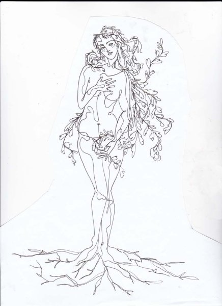 Рождение Венеры контур